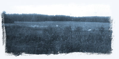Малиновые поля Беларуси